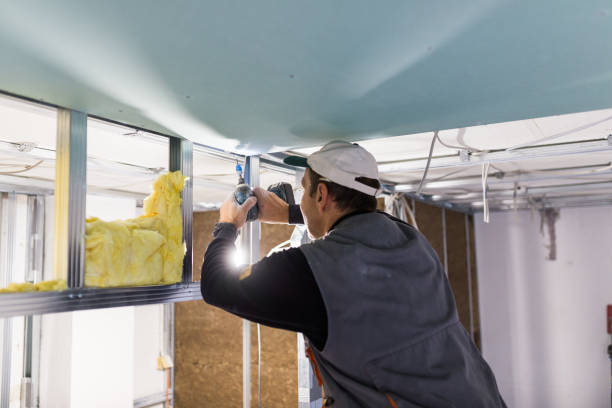 Best Geographic-Specific Insulation Services in Mason, MI