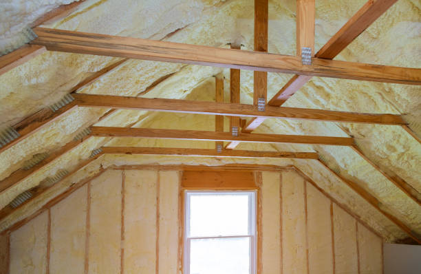 Best Eco-Friendly Insulation in Mason, MI