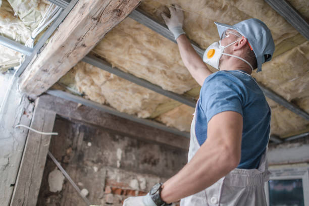 Best Specialized Insulation Services in Mason, MI