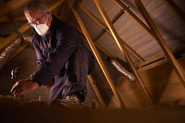Best Insulation Maintenance and Repair in Mason, MI